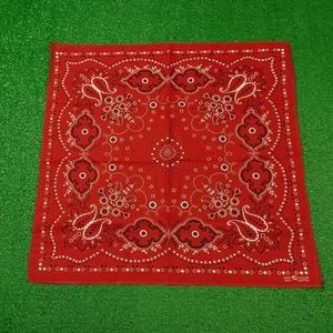 Fast Color Vintage Bandana Handkerchief Made in USA Elephant Trunk Paisley Crown